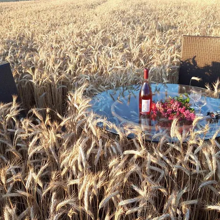 Ein Bett Im Kornfeld - Haus Weitblick - Mit Innenpool Schonfeld (Mecklenburgische Seenplatte)